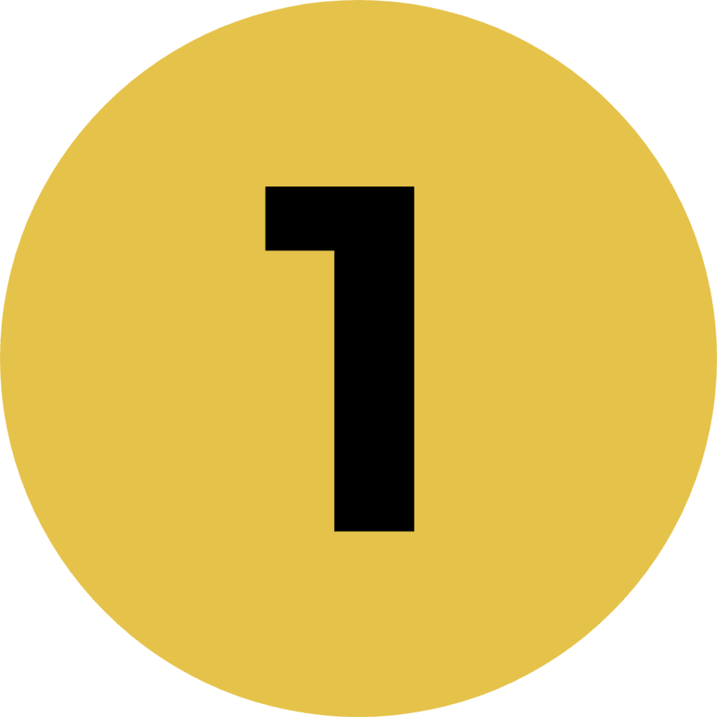 icon 1