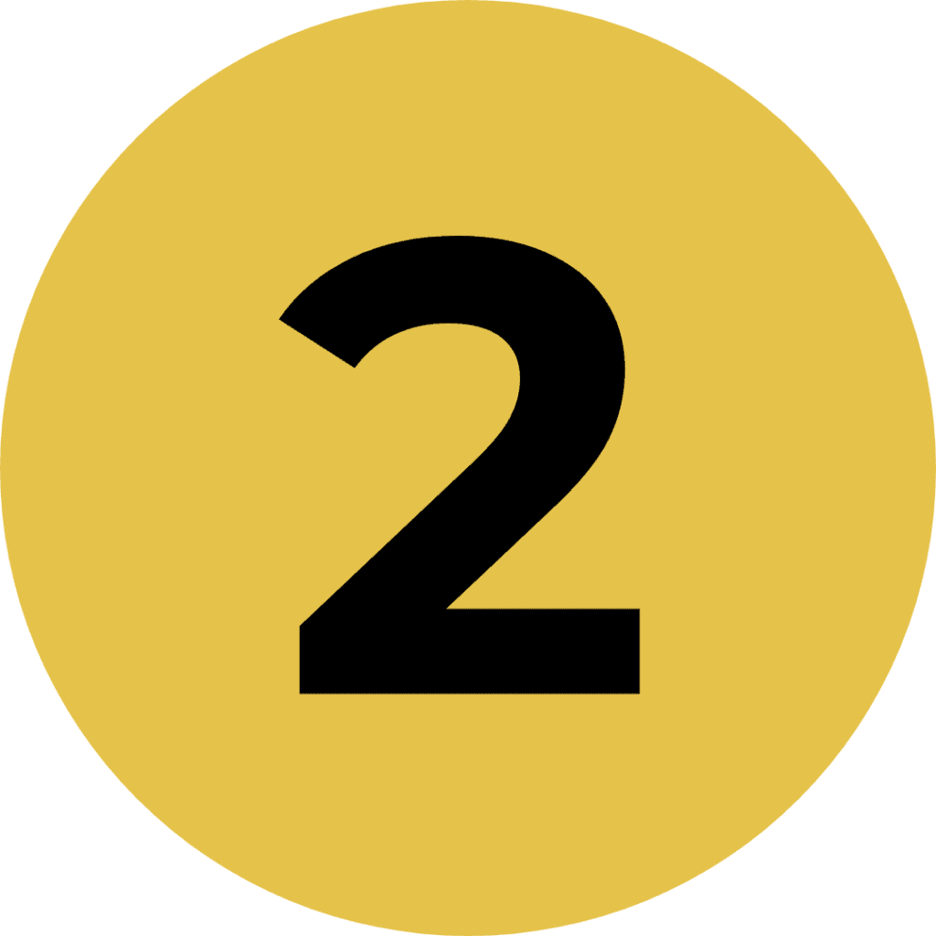 icon 2