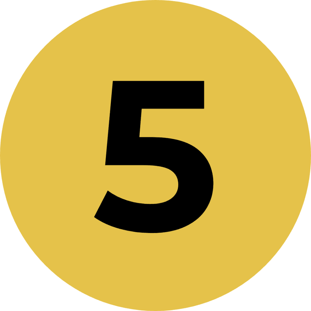 icon 5