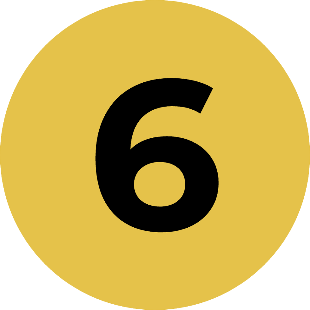 icon 6