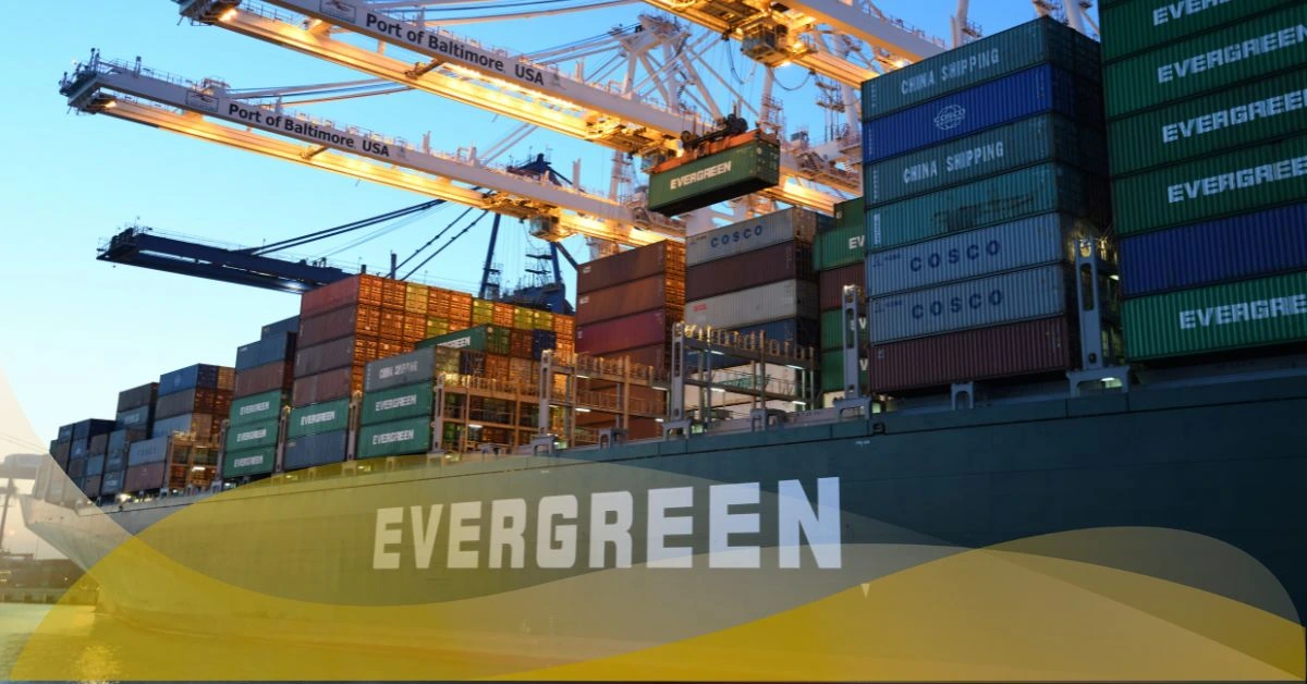 Learn deeper of Incoterms for Shisha Charcoal Import